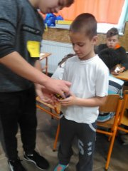 IMG_20190522_083128.jpg